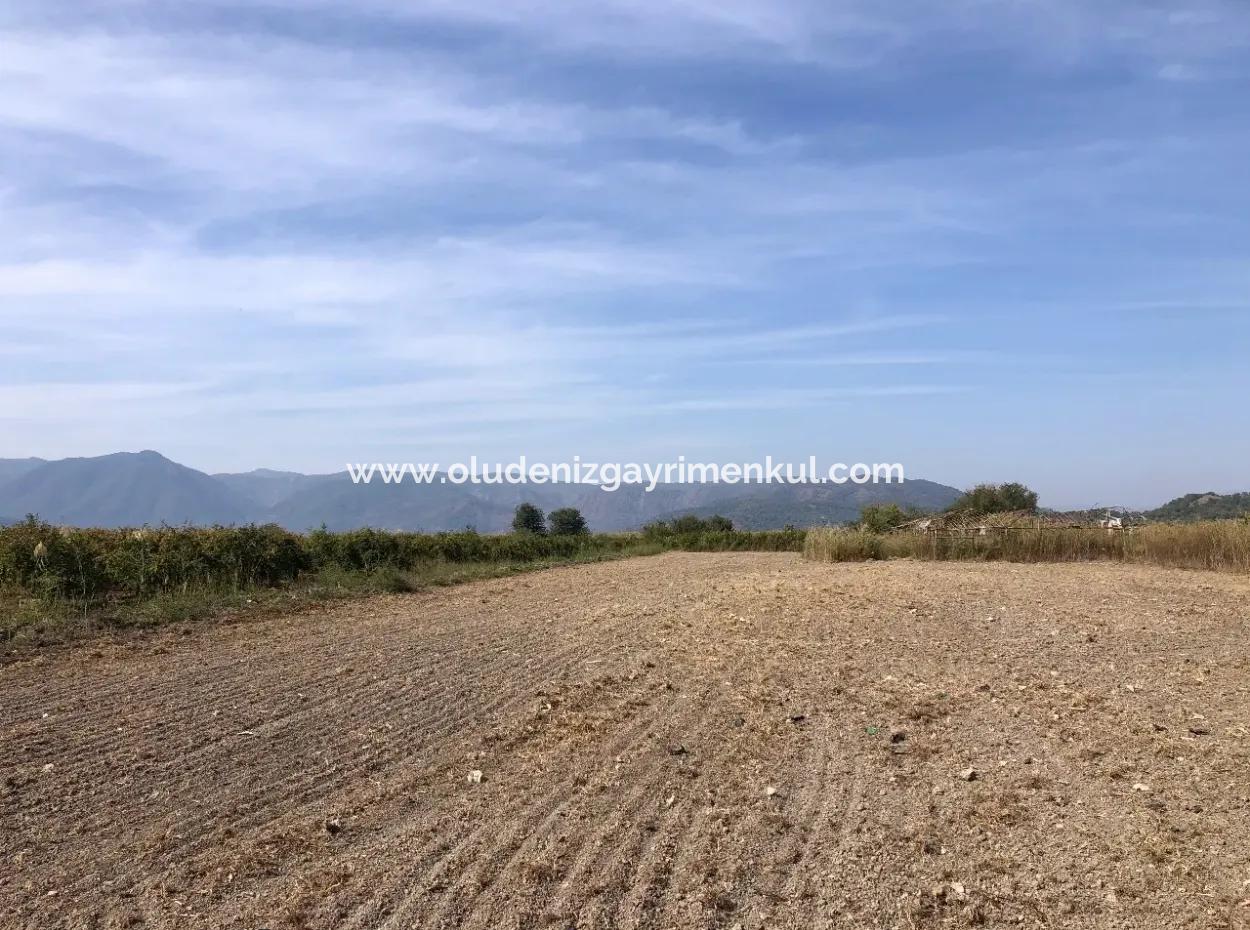 Esköyde Satılık Tarla Arsa 8500M2 Satılık Tarla Arsa