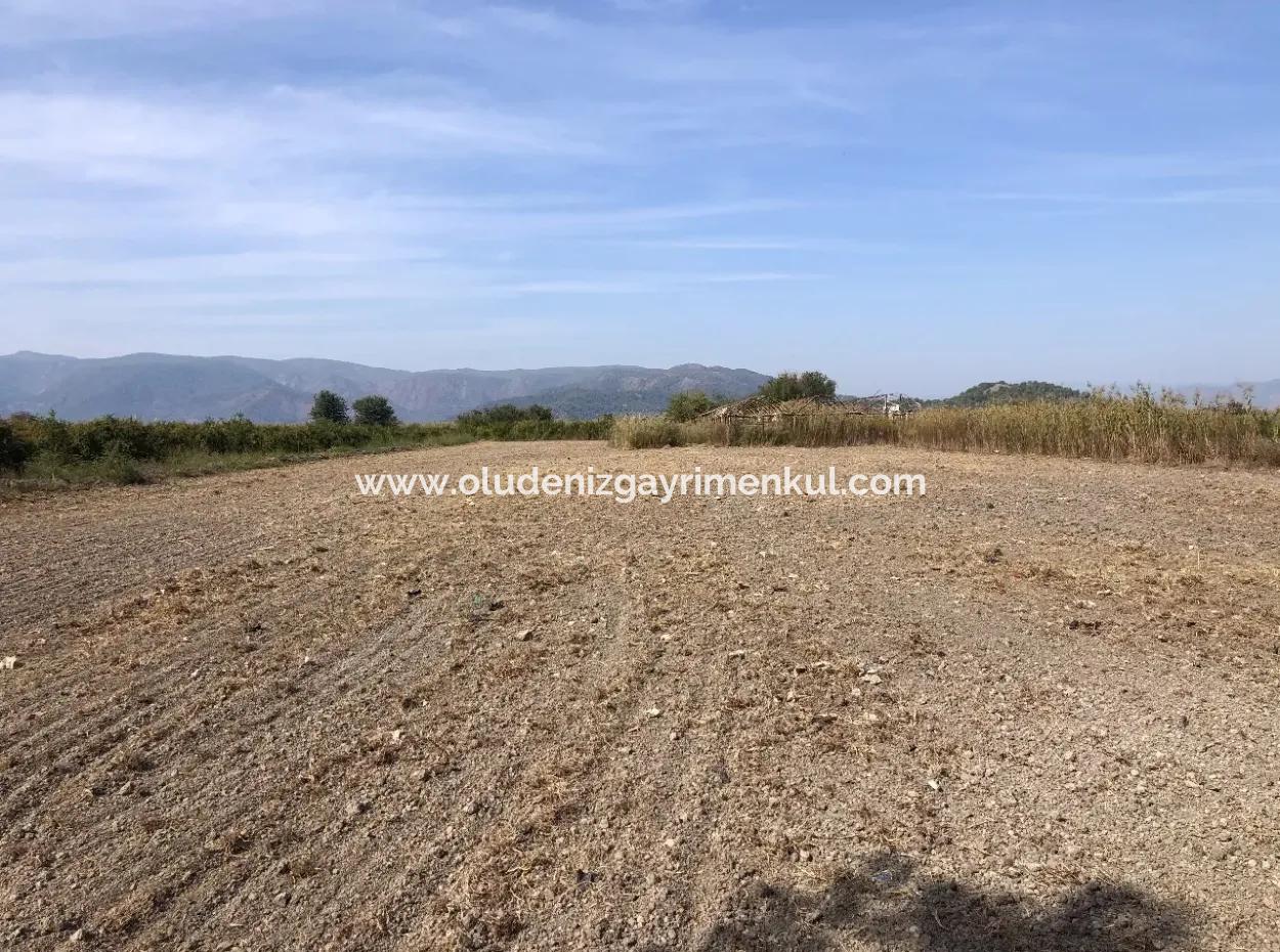 Esköyde Satılık Tarla Arsa 8500M2 Satılık Tarla Arsa