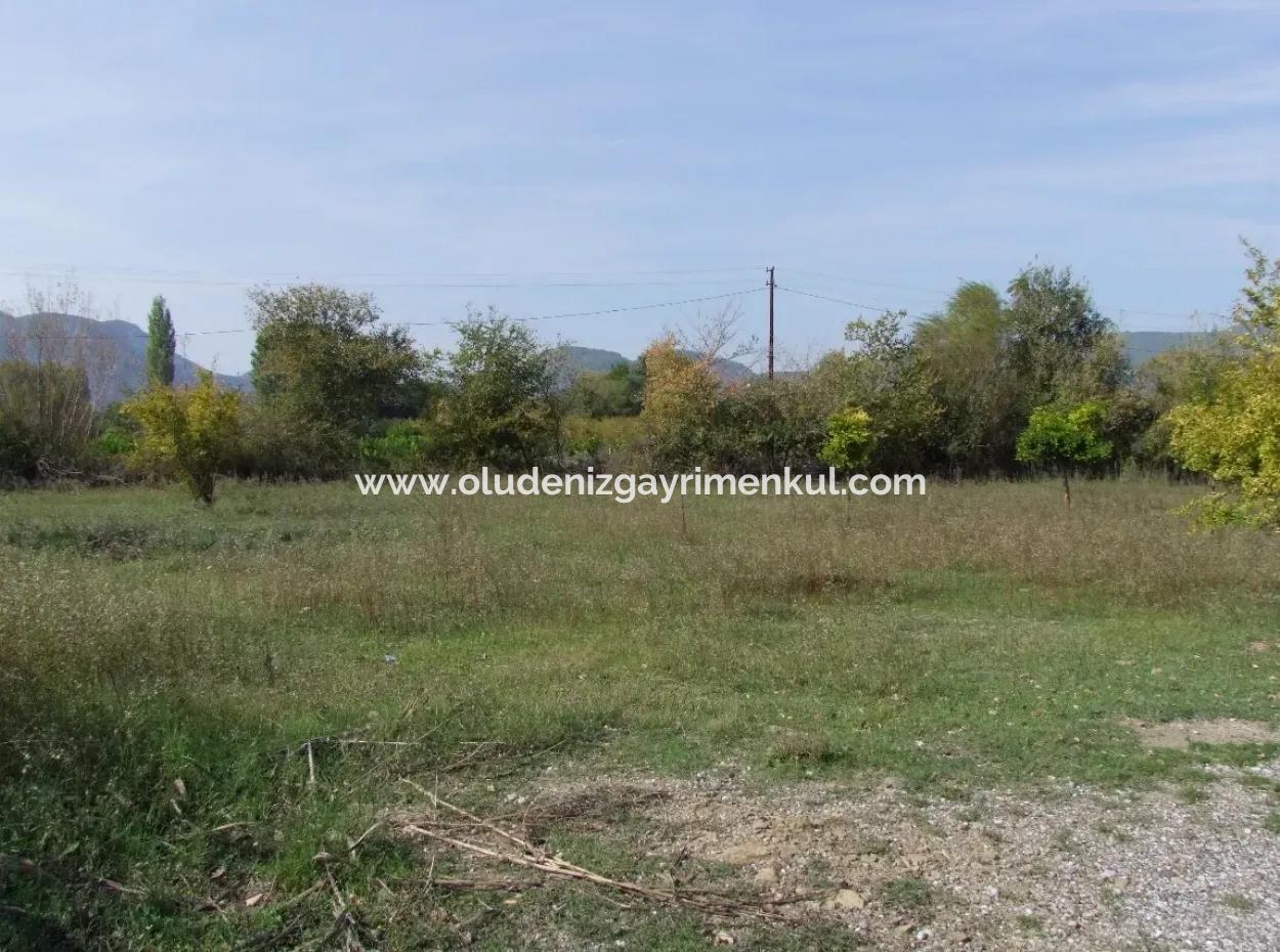 Güzelyurt Da Satılık Arsa Ana Yola Sıfır 5515M2 Satılık Arsa