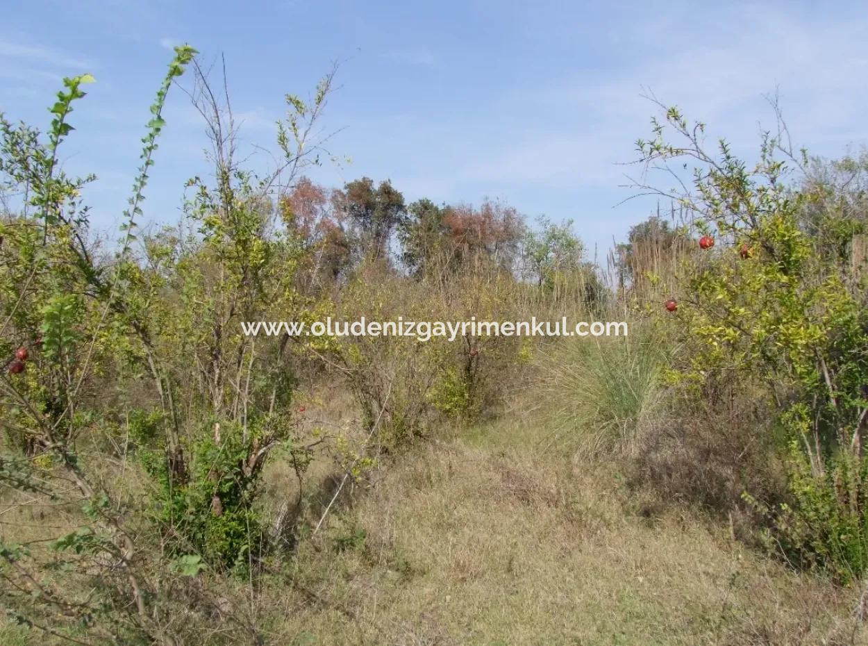 Güzelyurt Satılık Arsa  Köy Yerleşik 6670M2 Satılık Arazi