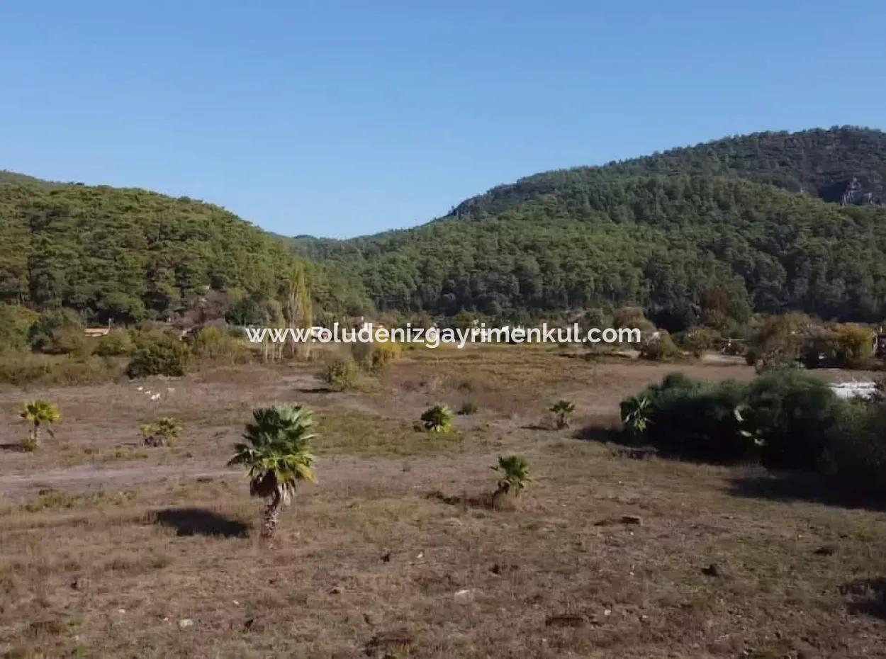 Çamlıda Satılık Arsa Arazi Marmaris Çamlıda Deniz Manzaralı 11720M2 Satılık Arsa