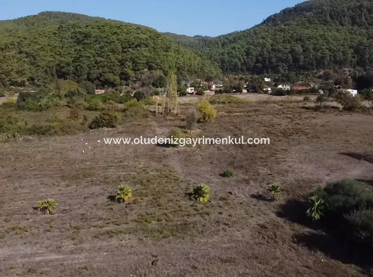 Çamlıda Satılık Arsa Arazi Marmaris Çamlıda Deniz Manzaralı 11720M2 Satılık Arsa