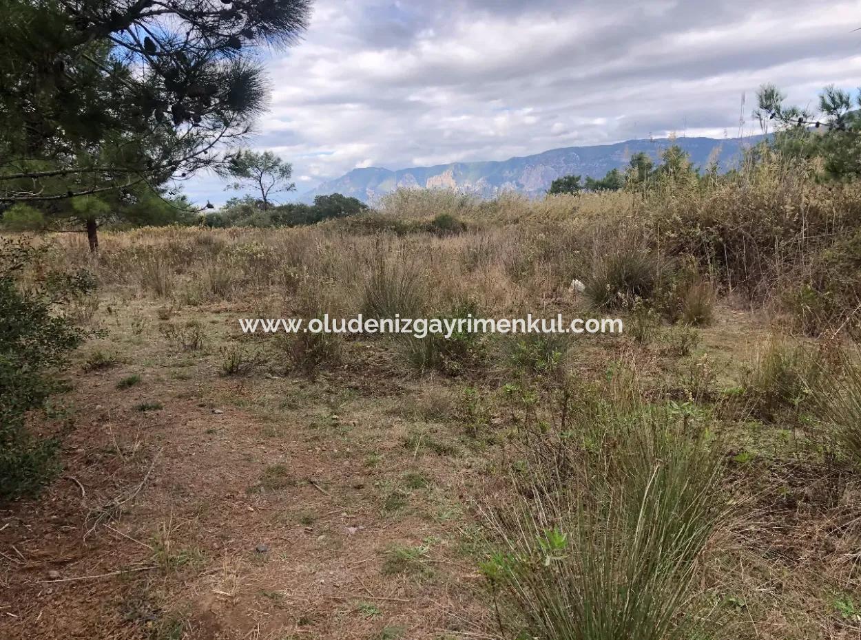 Çamlı Kanala Sıfır Satılık Arazi Arsa Çamlıda Deniz Manzaralı 28768M2 Satılık Arsa