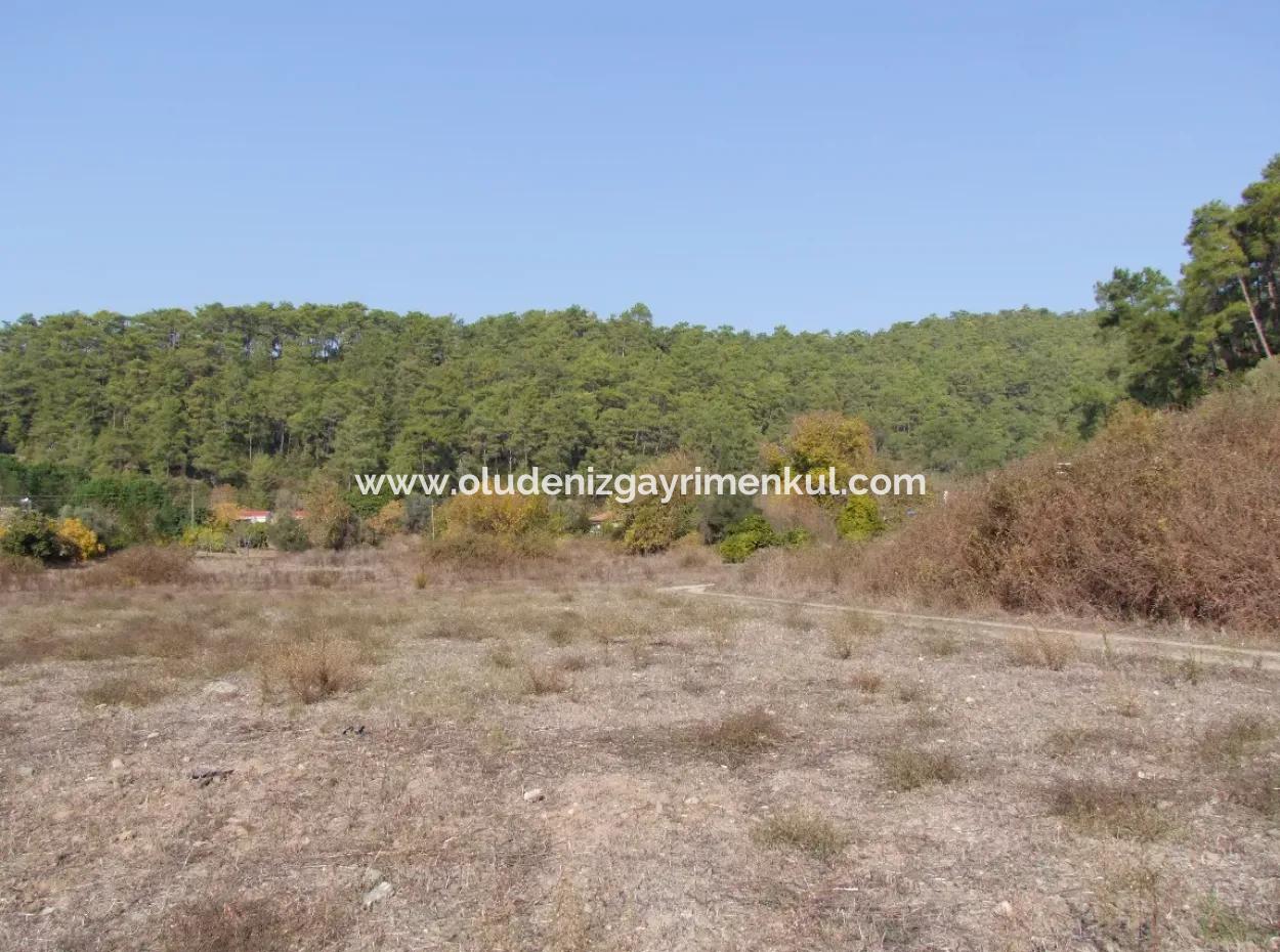 Çamlı'da Deniz Manzaralı 6850M2 İmarlı Satılık Arsa