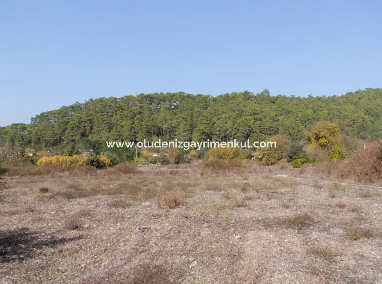 Çamlı'da Deniz Manzaralı 6850M2 İmarlı Satılık Arsa