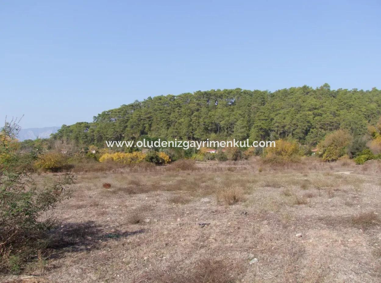 Çamlı'da Deniz Manzaralı 6850M2 İmarlı Satılık Arsa