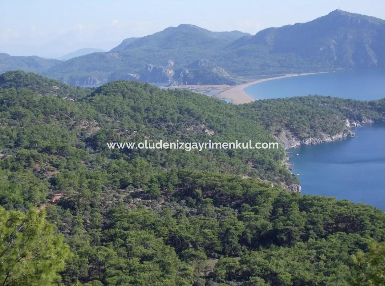 Ekincik Çandır Arasın'da Deniz Manzaralı Kelepir Emlak Satılık Arsa