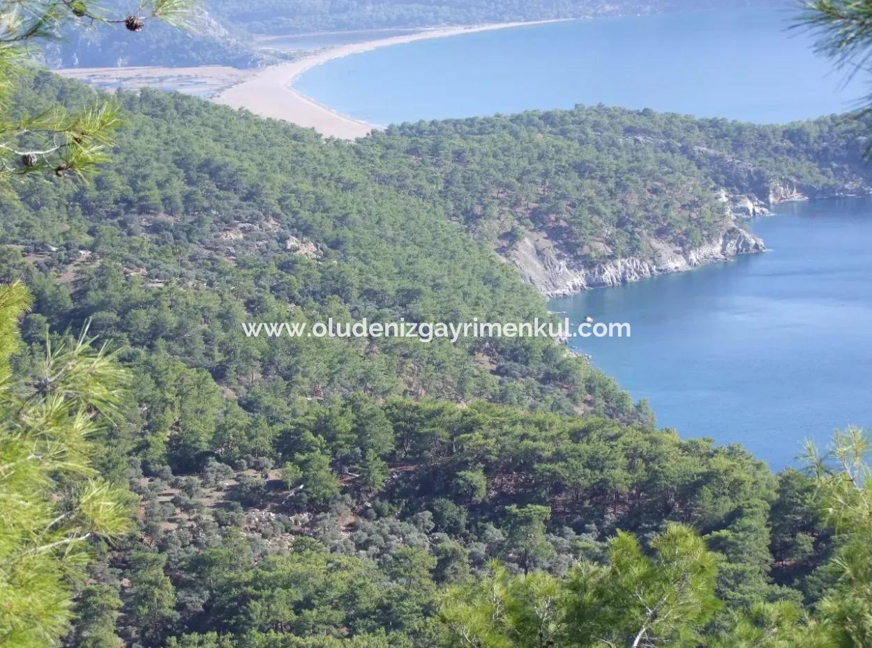 Ekincik Çandır Arasın'da Deniz Manzaralı Kelepir Emlak Satılık Arsa
