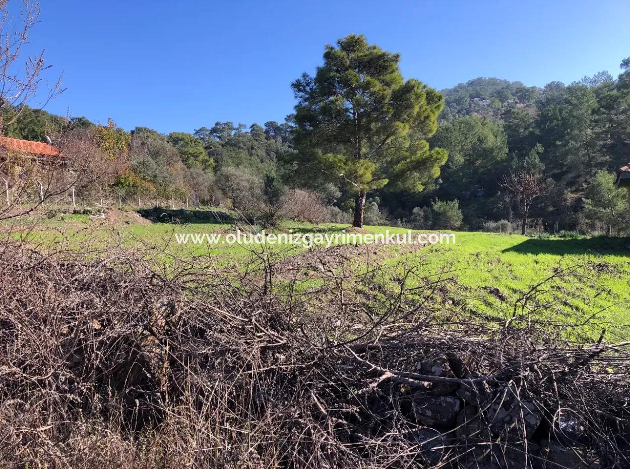 Gökbel Satılık Arsa Full Deniz Manzaralı 8000M2 Satılık Arsa