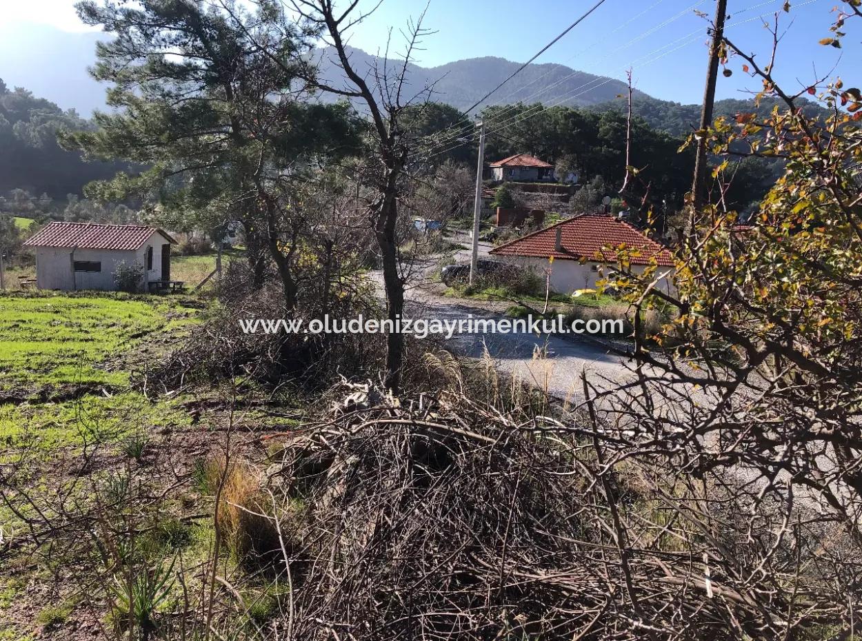 Gökbel Satılık Arsa Full Deniz Manzaralı 8000M2 Satılık Arsa