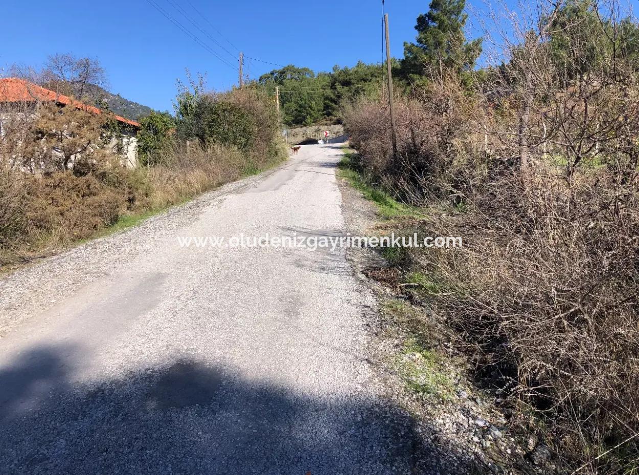 Gökbel Satılık Arsa Full Deniz Manzaralı 8000M2 Satılık Arsa