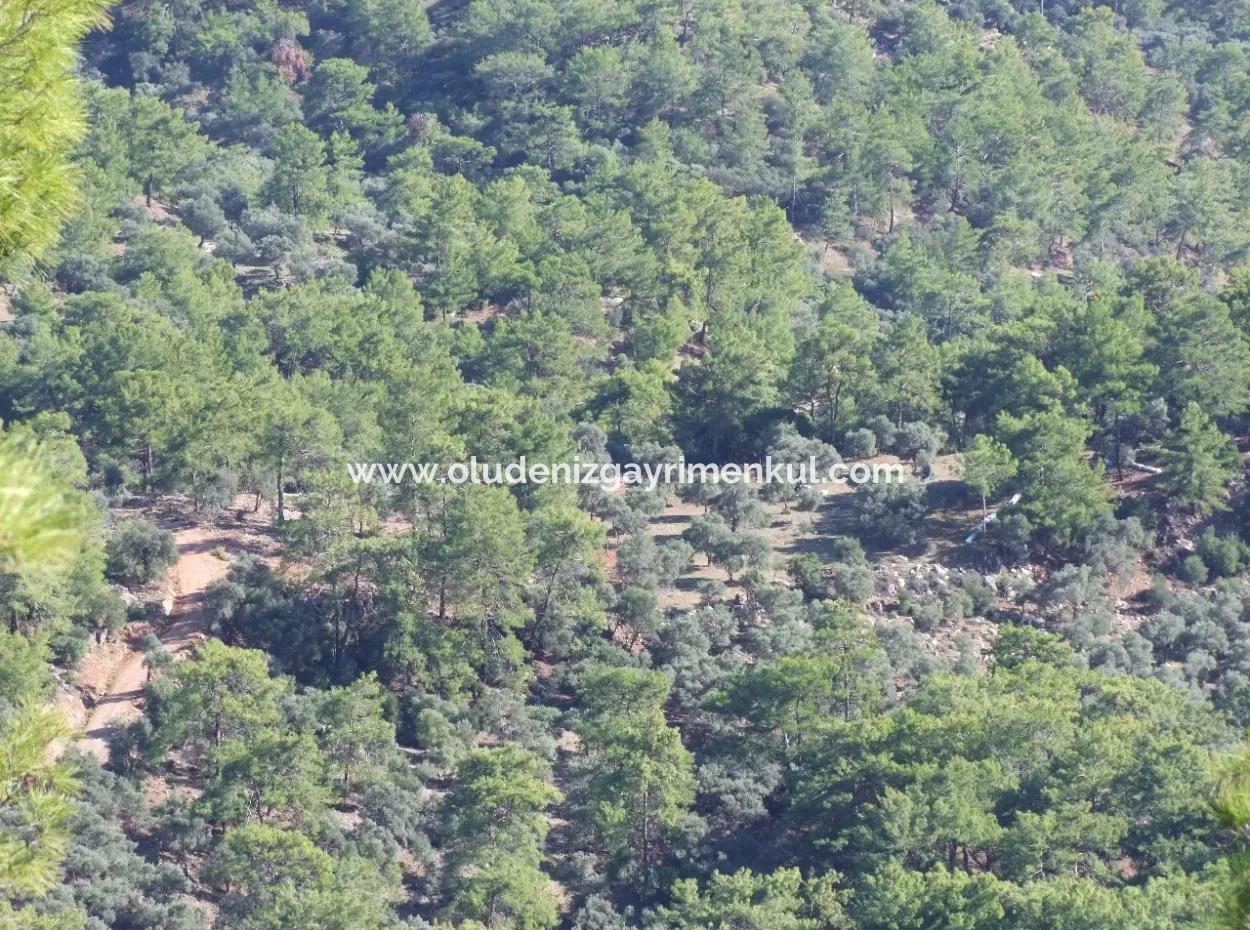 Ekincik Çandır Arasın'da Deniz Manzaralı Kelepir Emlak Satılık Arsa
