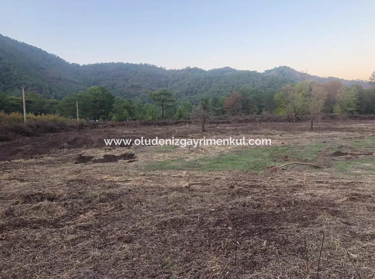 Sultaniye Satılık Arsa 10577M2 Göle Yakın Satılık Arsa