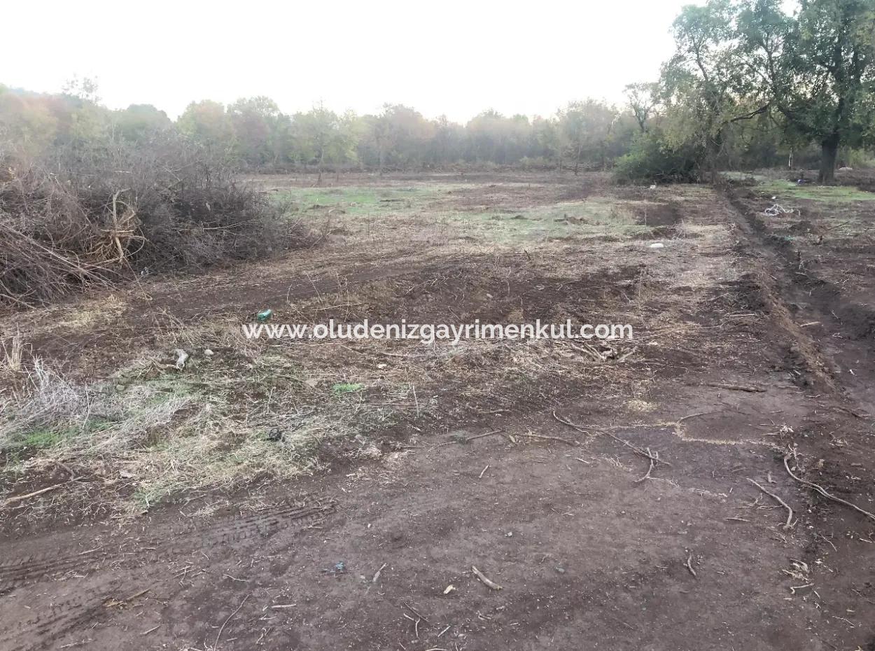 Sultaniye Satılık Arsa 10577M2 Göle Yakın Satılık Arsa