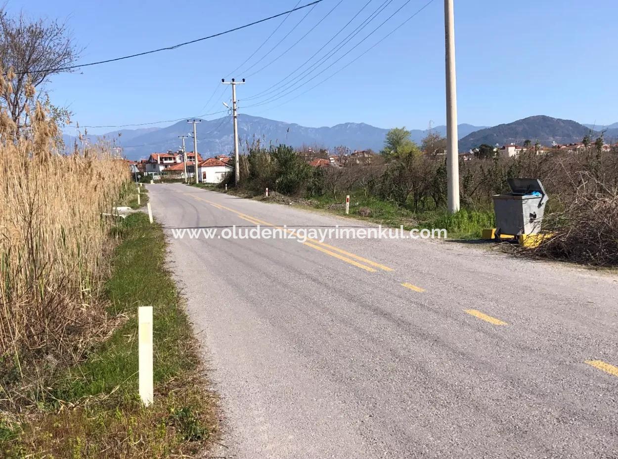 Dalyan'da 5500M2 Satılık Arsa