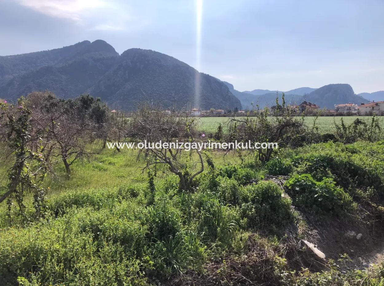 Dalyan'da 5500M2 Satılık Arsa