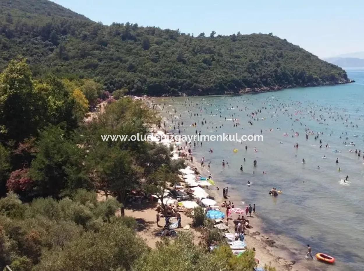 Güzelçamlıda Satılık Arsa Deniz Manzaralı 3733M2 %25 İmarlı Satılık Arsa