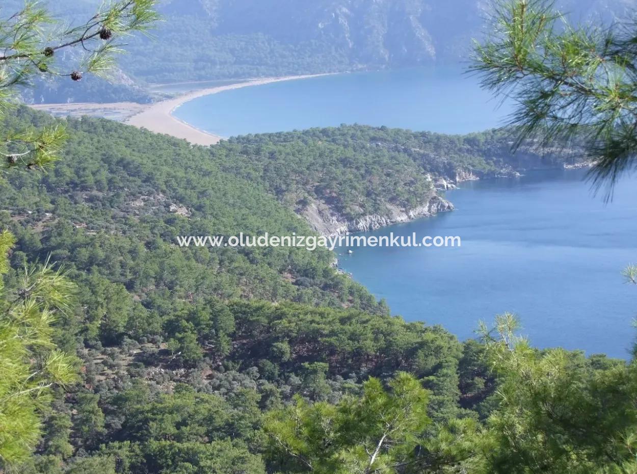 Ekincik Çandır Arasın'da Deniz Manzaralı Kelepir Emlak Satılık Arsa