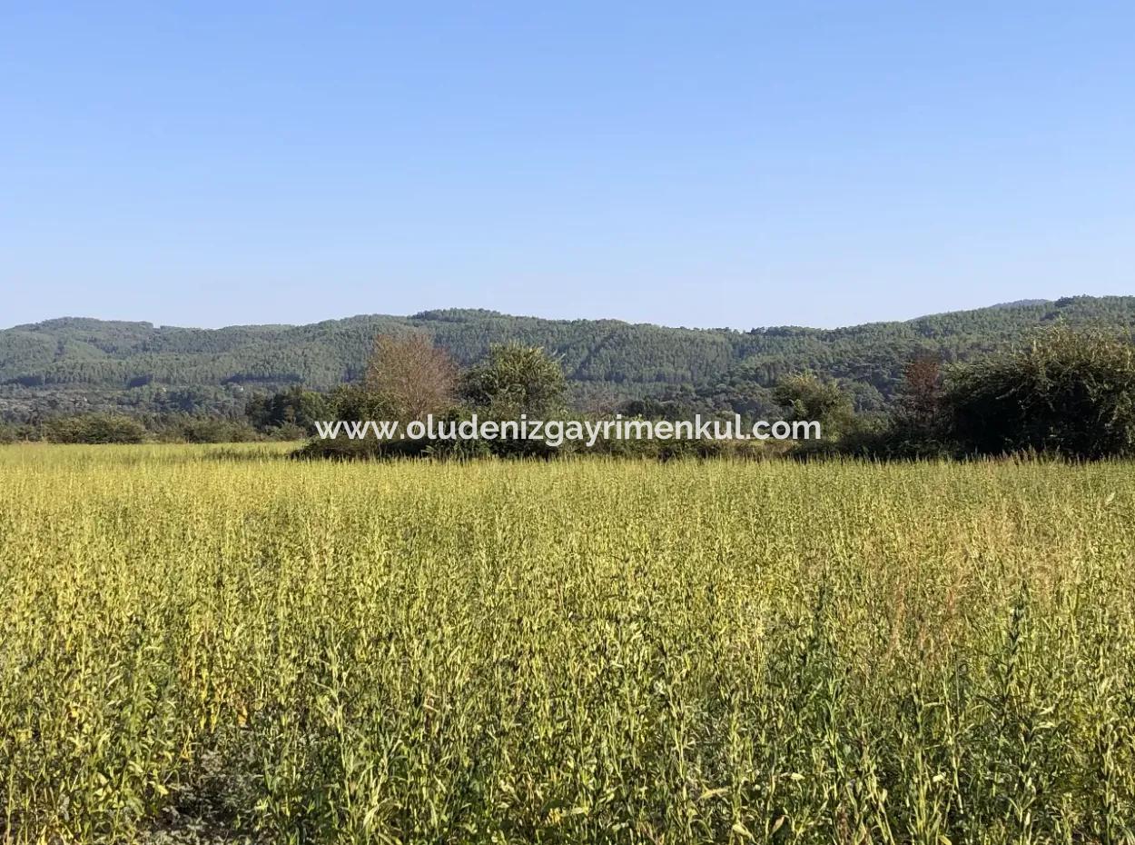 Akçapınarda Satılık Tarla 100 Dönüm Satılık Tarla