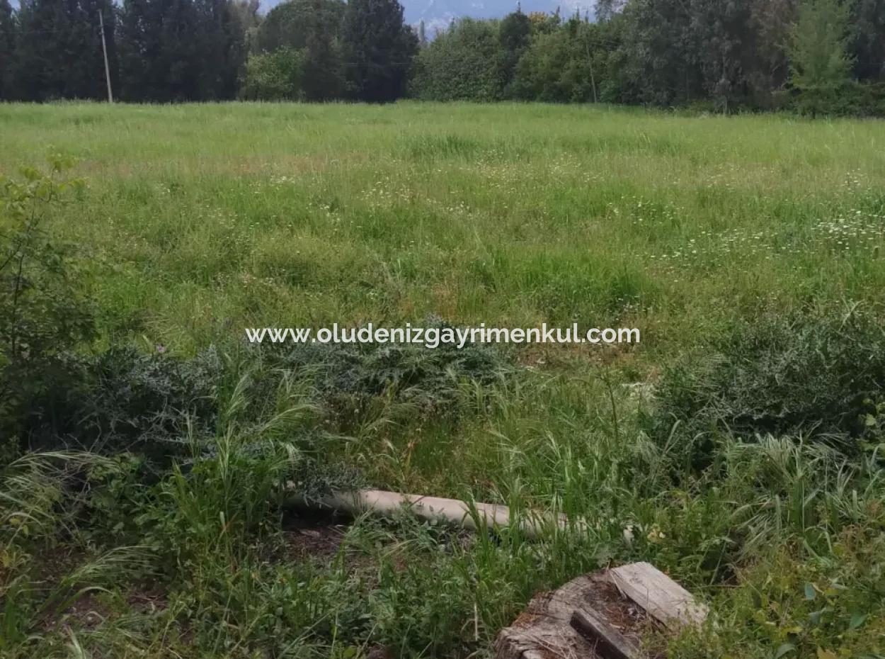 Çamlida  Satılık Arsa 11516M2 Satlık Bahçe