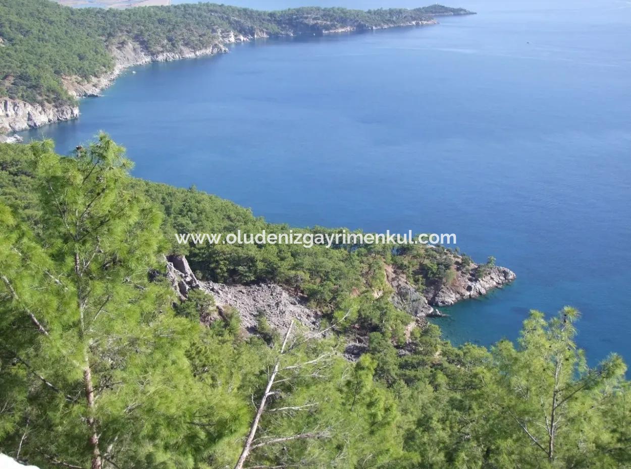 Ekincik Çandır Arasın'da Deniz Manzaralı Kelepir Emlak Satılık Arsa