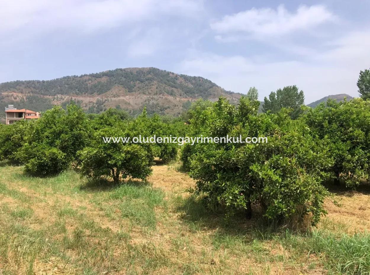 Ekşiliyurtda 1085M2 Satılık Arsa