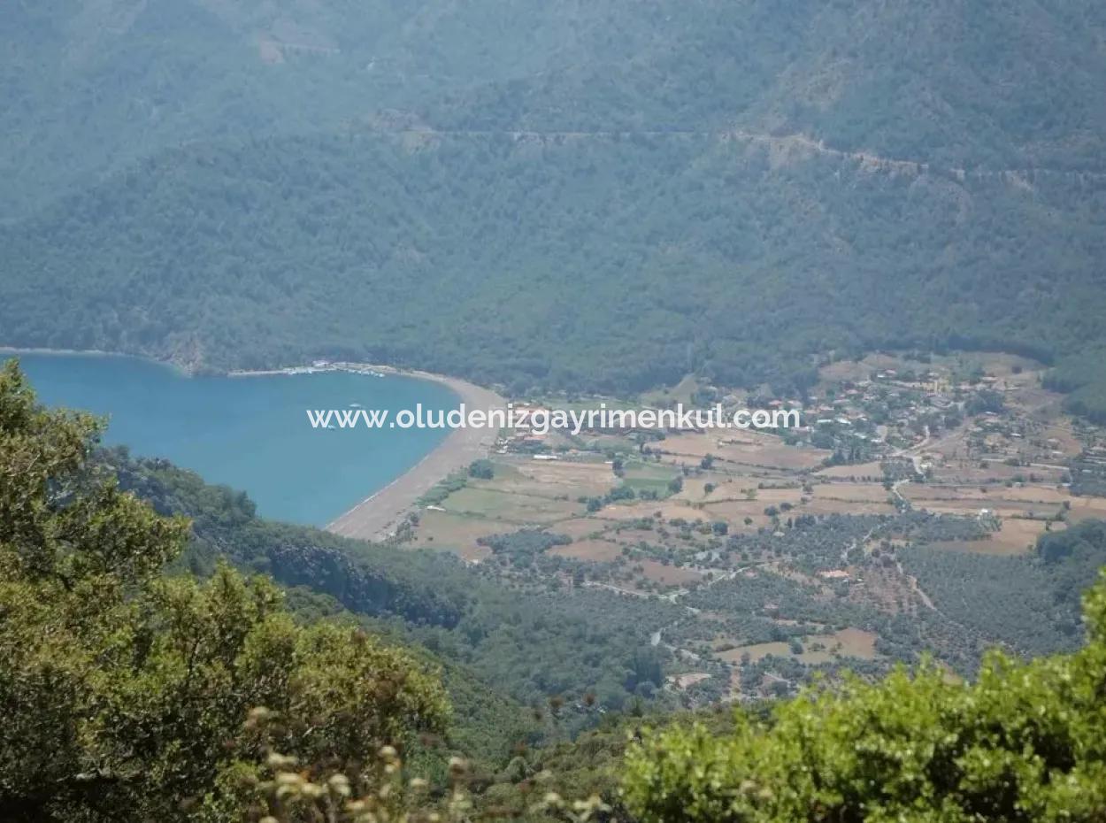 Ekincik Satılık Arsa Full Deniz Manzaralı 10885M2 Denize Bir Parsel Satılık Arsa