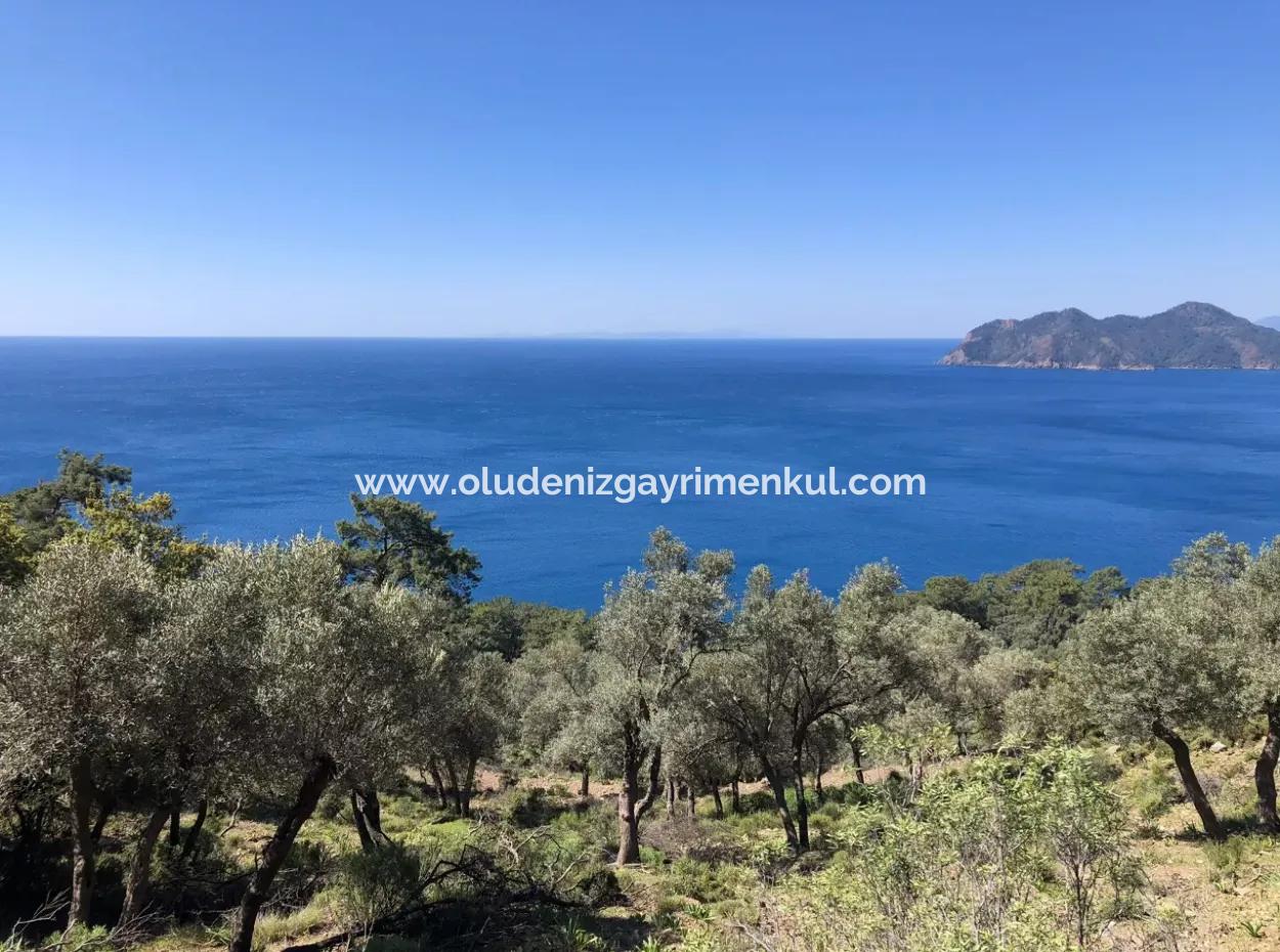 Çandır'da Deniz Manzaralı Satılık Arazi