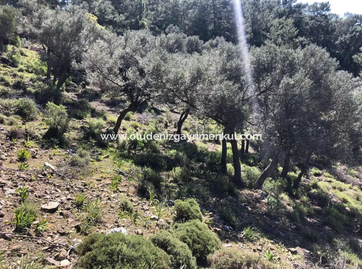 Çandır'da Deniz Manzaralı Satılık Arazi