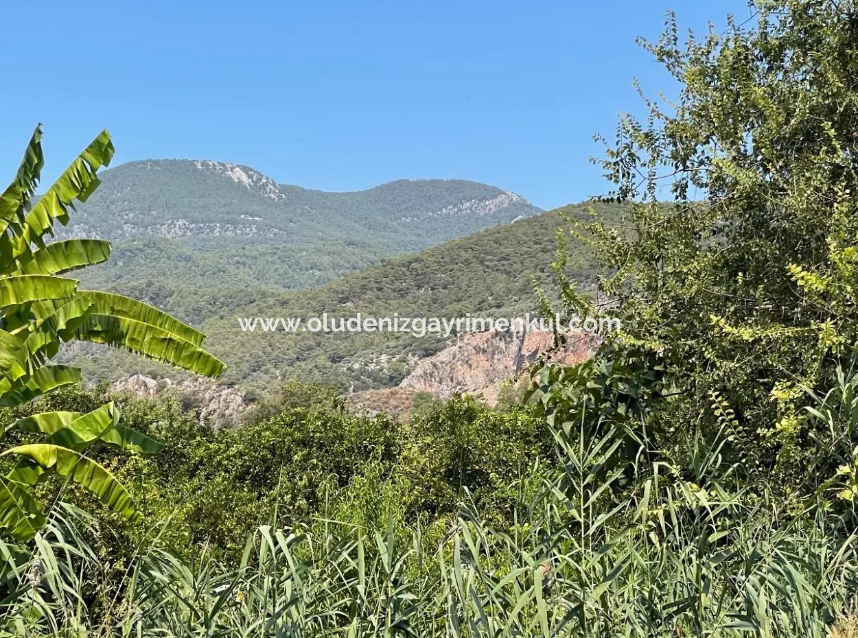 Dalyanda 7,500 M2 Arsa İçinde 19 Odalı Satılık Otel