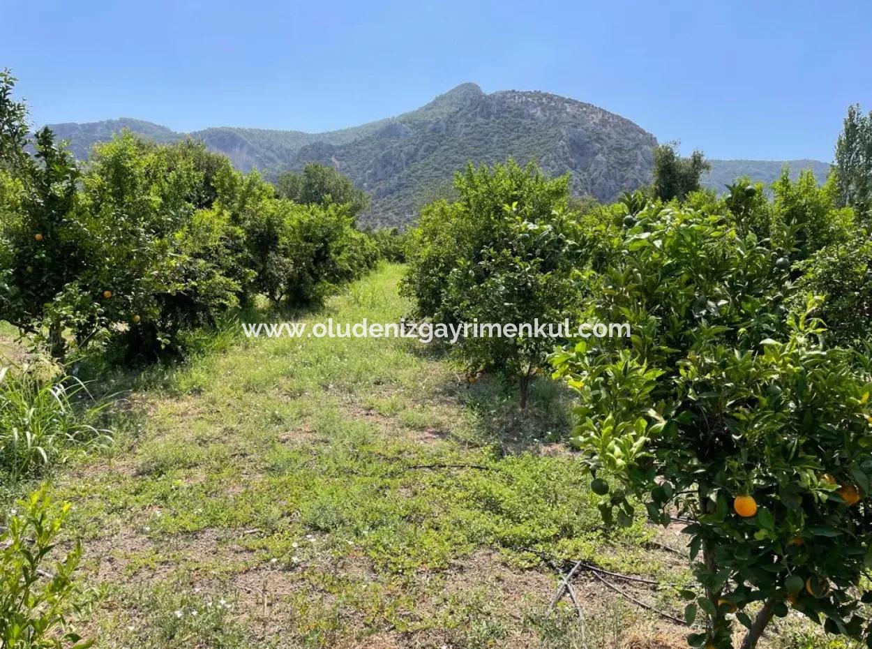 Dalyanda 7,500 M2 Arsa İçinde 19 Odalı Satılık Otel