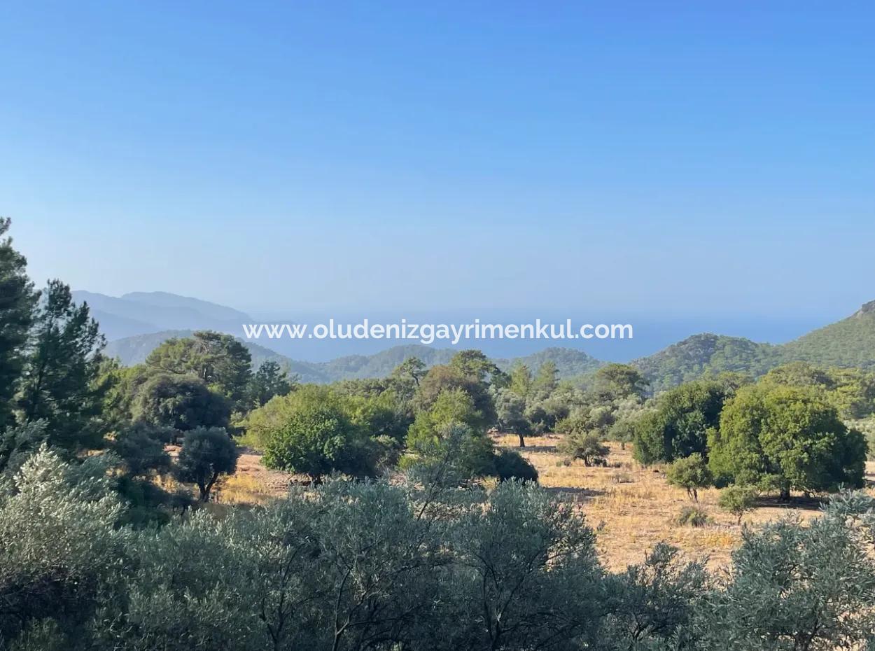 Çandır Deniz Manzaralı 2620M2 Satılık Arazi Tarla