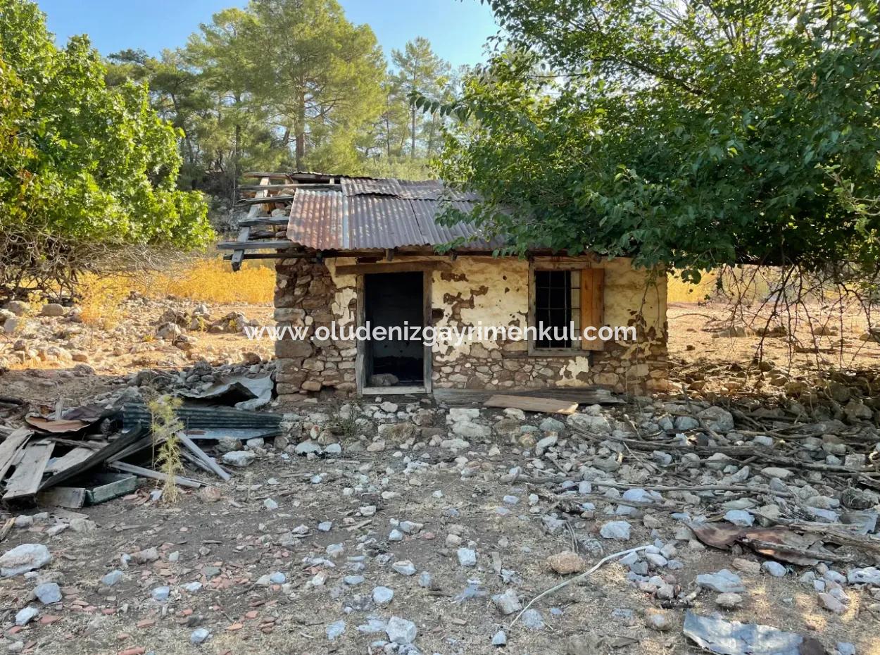 Çandır Deniz Manzaralı 2620M2 Satılık Arazi Tarla