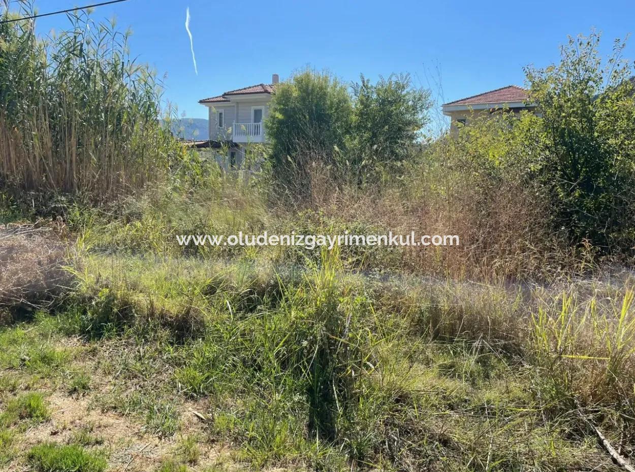 Dalyan Gülpınar Köşebaşın Da  1000M2 Satılık Arsa