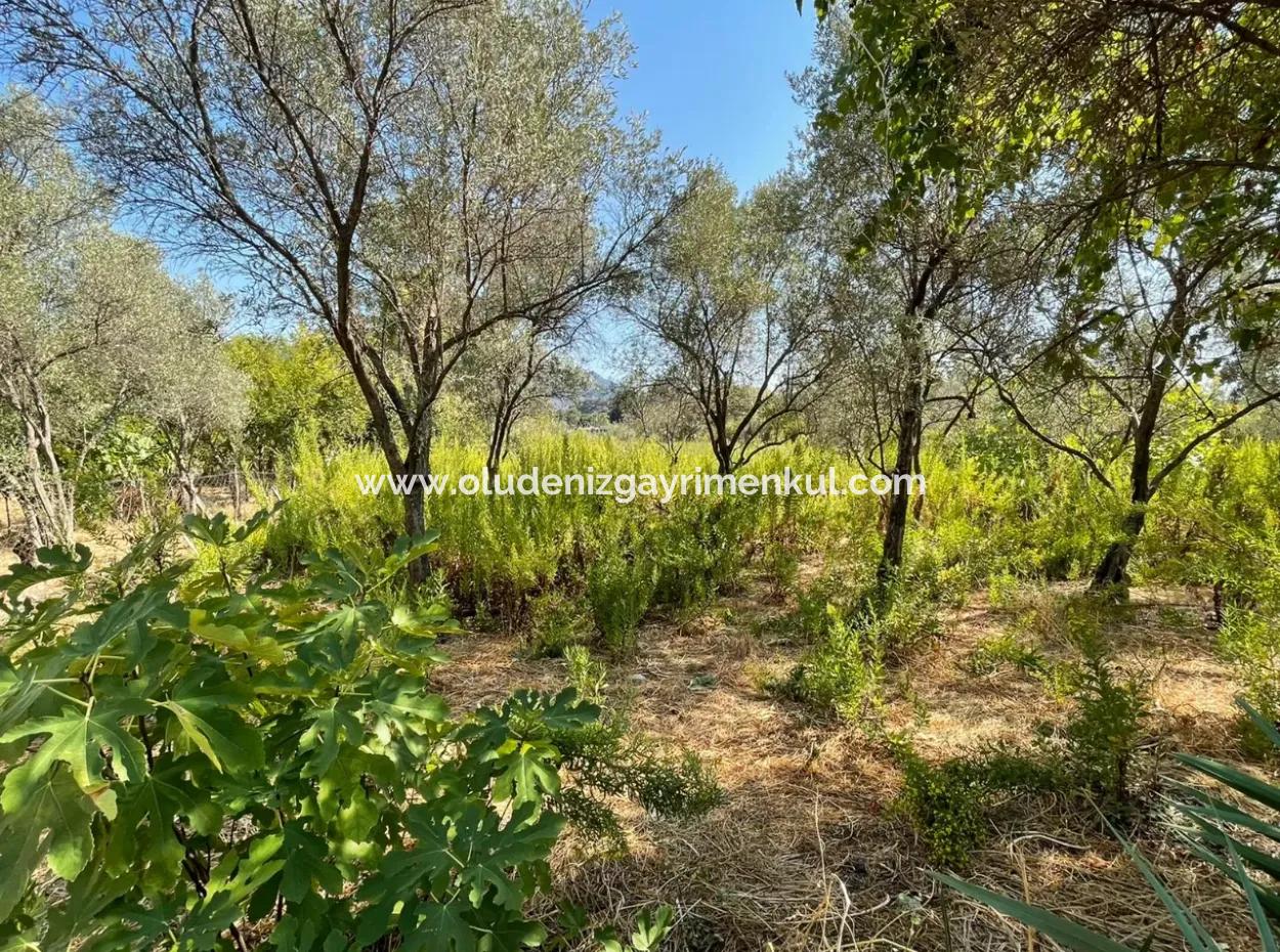 Çandır Kanala Sıfır 2765M2 Satılık Müstakil Ev