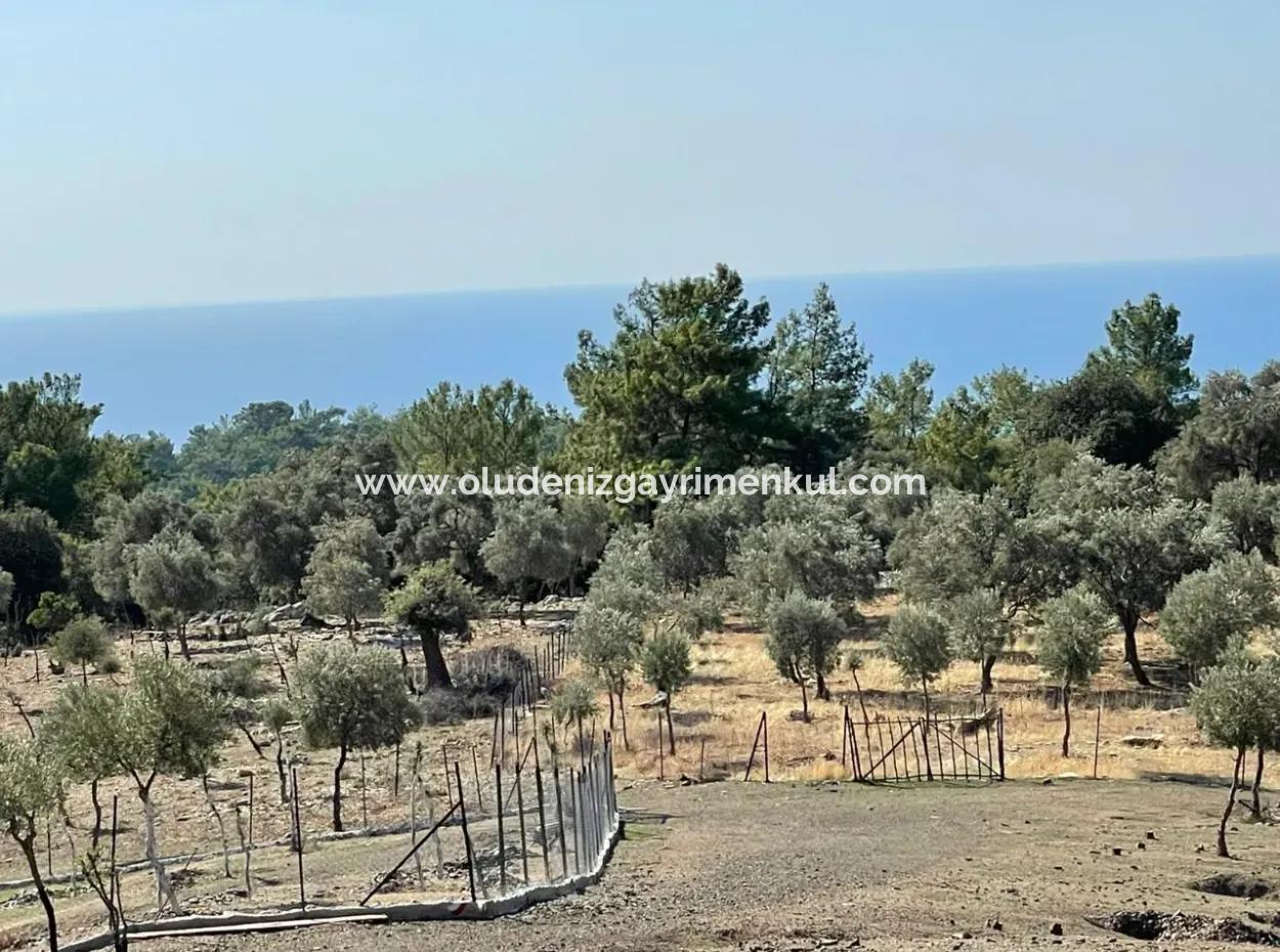 Çandır Deniz Manzaralı Satılık Tarla Arsa