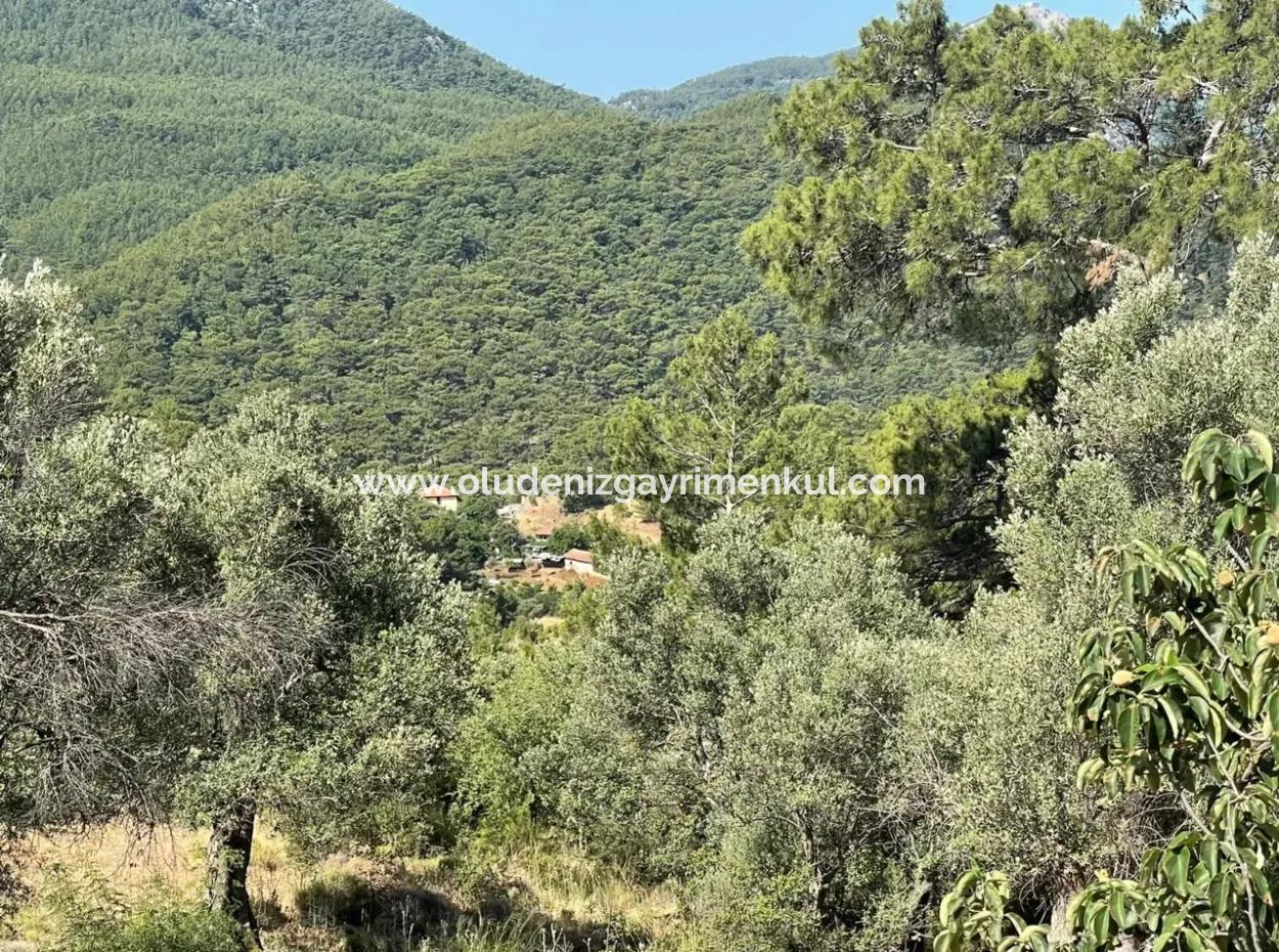 Gökbel'de Deniz Manzaralı Satılık Arsa