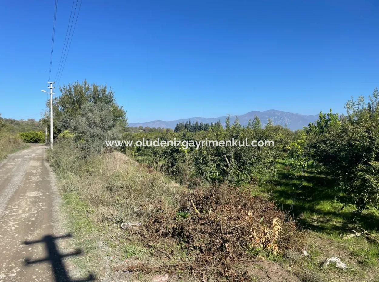 Dalyan'da Satılık 2223M2 Tarla
