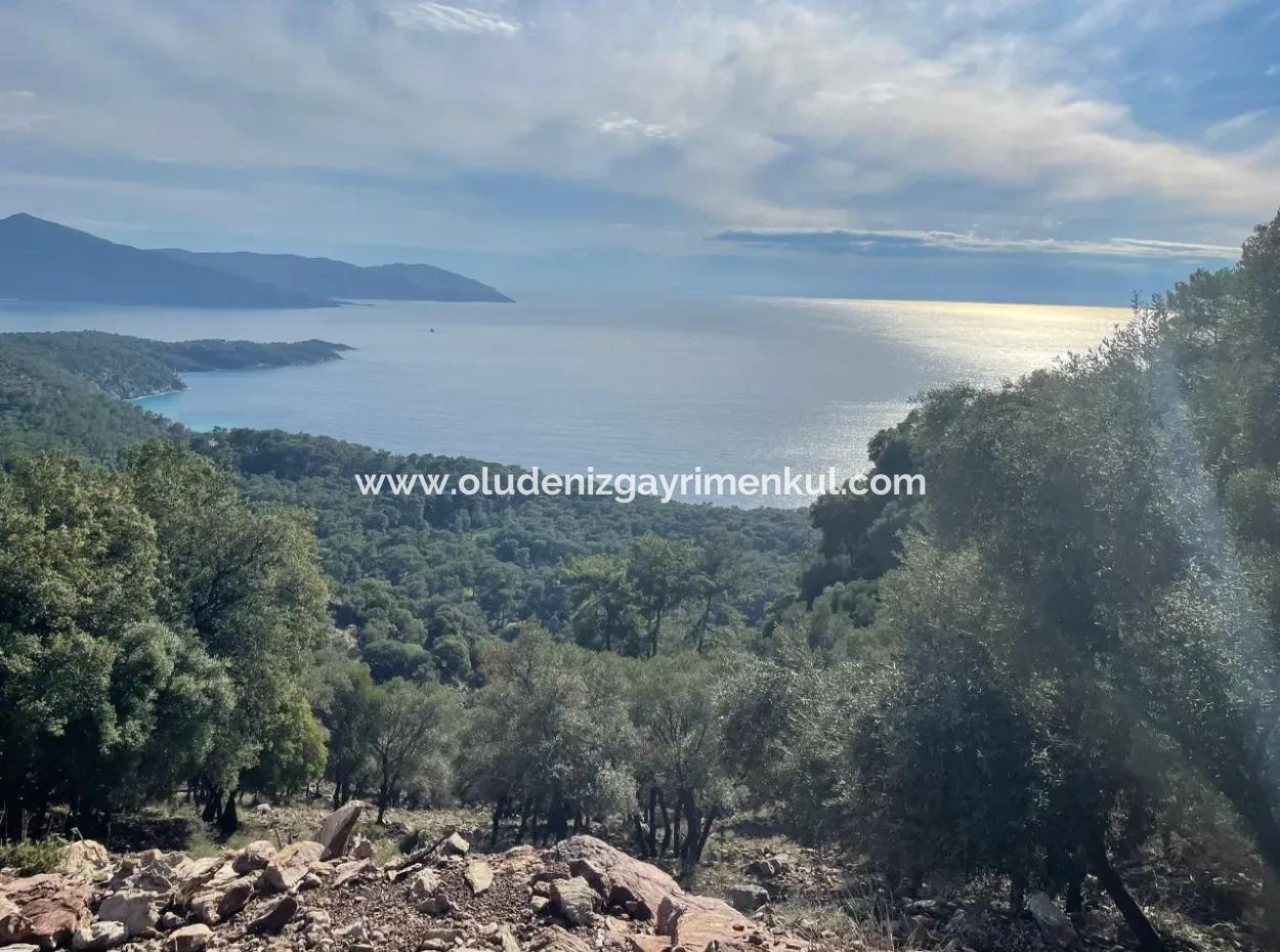 Ekincik'de Full Deniz Manzaralı Satılık 8,900M2 Tarla