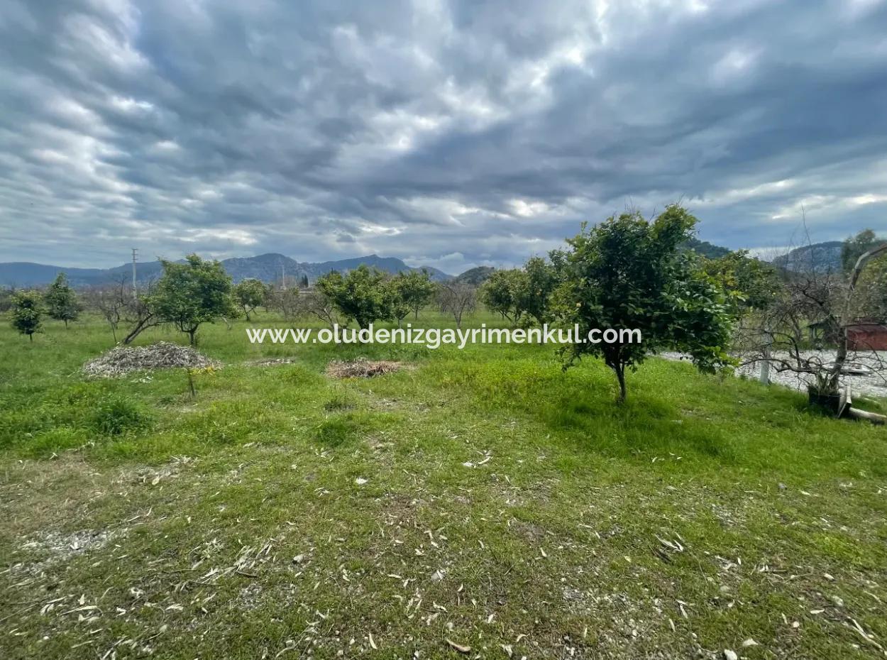 Dalyan Satılık Butik Otel 11.000M2 Arsa İçinde Satılık Bungolevler