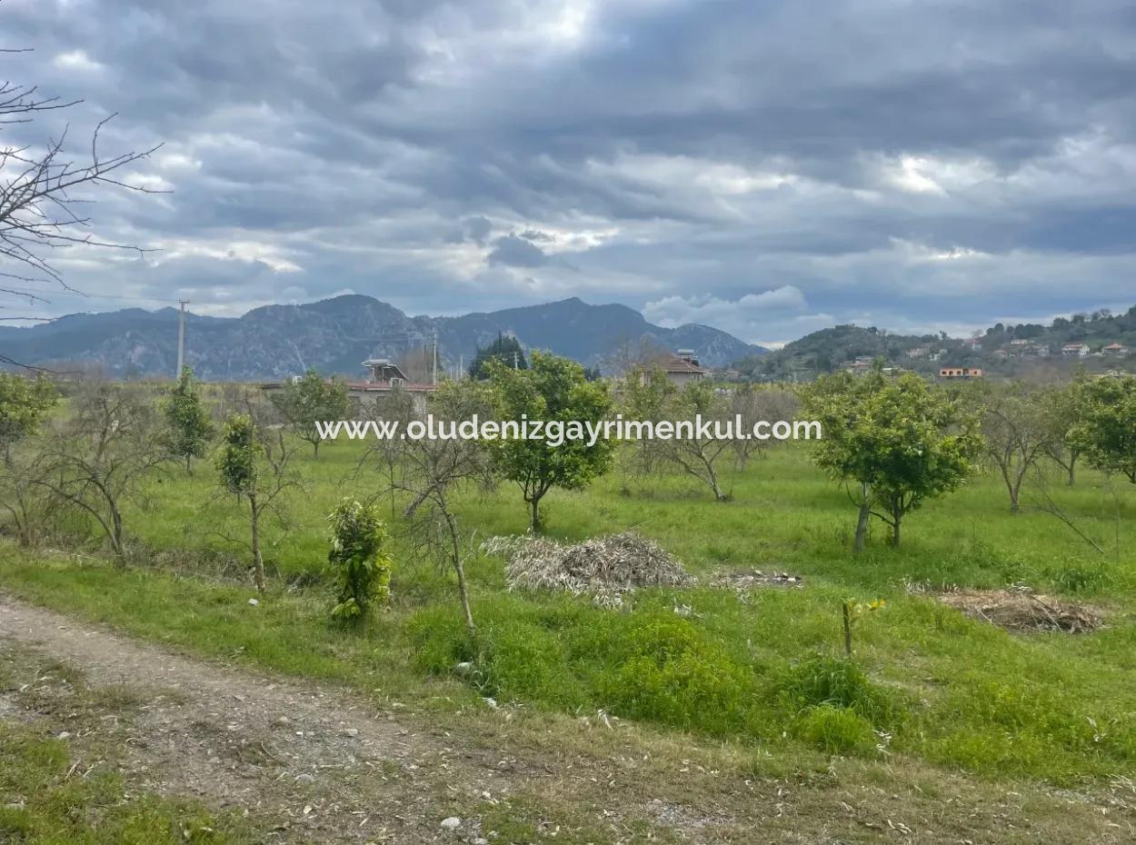 Dalyan Satılık Butik Otel 11.000M2 Arsa İçinde Satılık Bungolevler