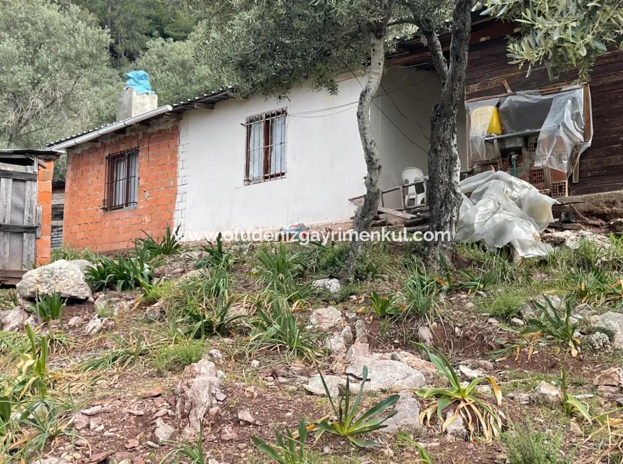 Ekincikde Deniz Manzaralı Zeytin Evi Satılıktır