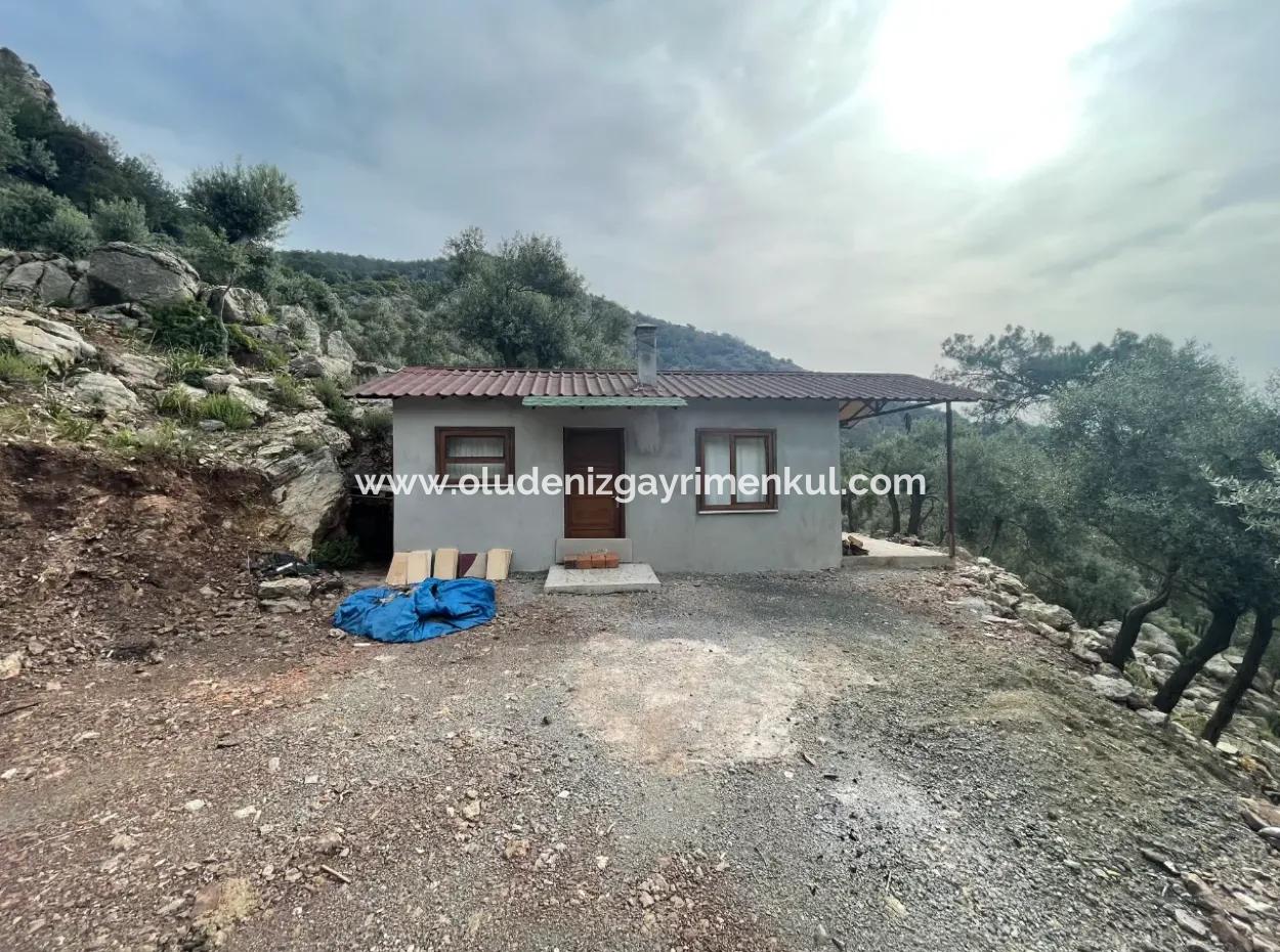 Ekincikde Deniz Manzaralı Zeytin Evi Satılıktır