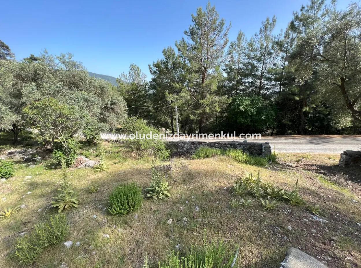 Ekincik Deniz Manzaralı Satılık Müstakil Ev