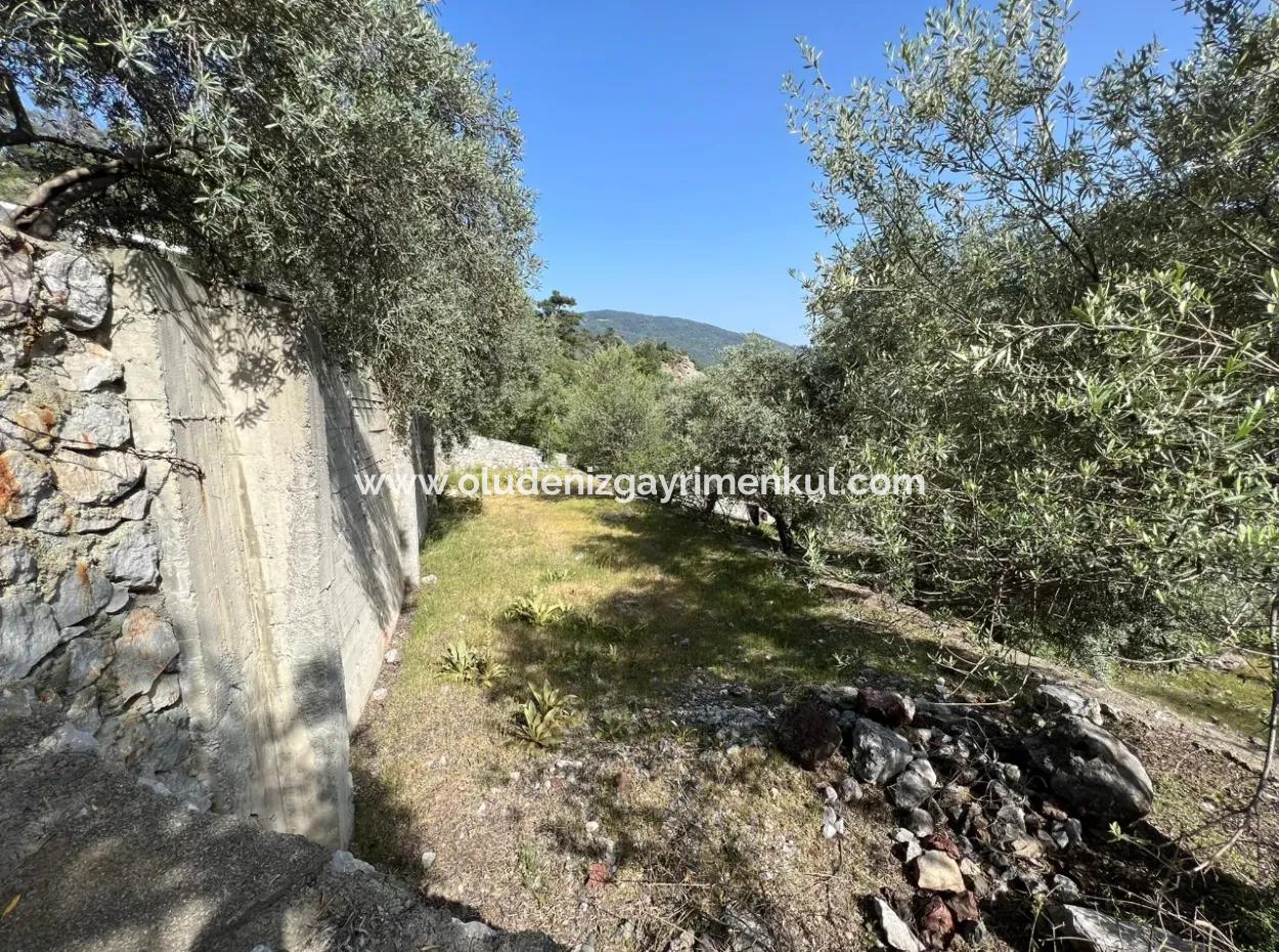 Ekincik Deniz Manzaralı Satılık Müstakil Ev