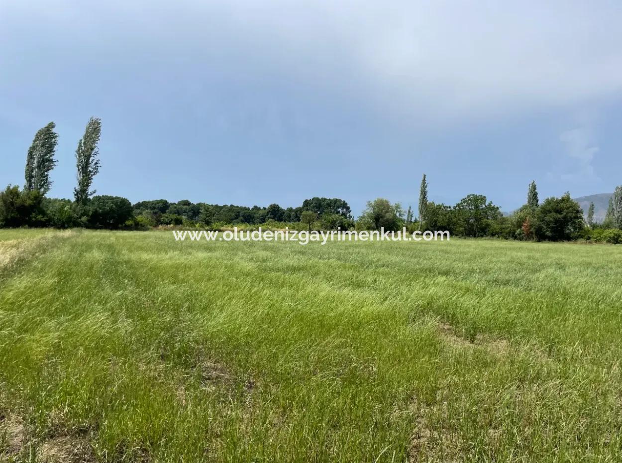 Okçular Marmarlı Da 4595M2 Satılık Yatırımlık Arsa