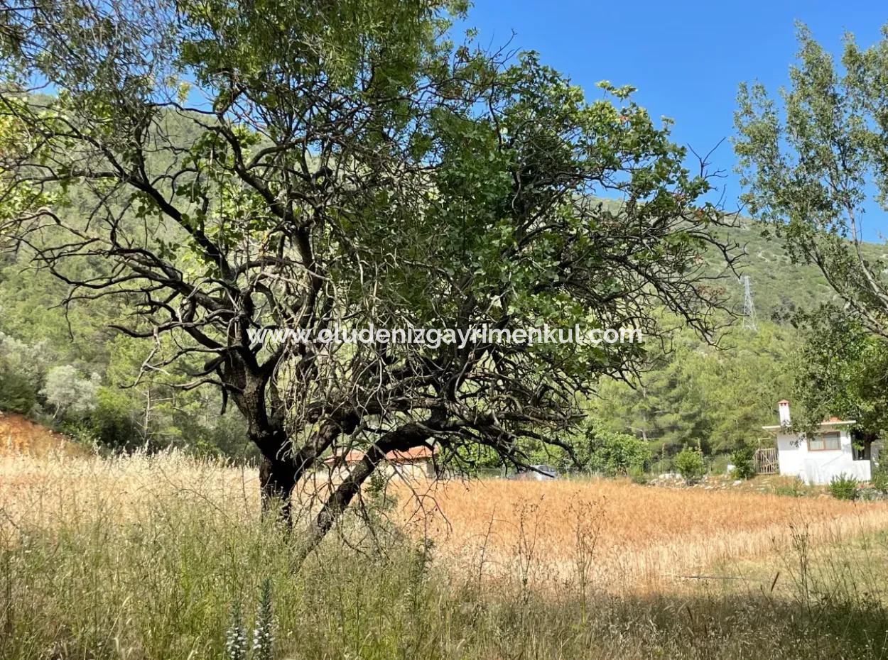 Ula Armutçuk Da 501M2 İmarlı Satılık Arsa