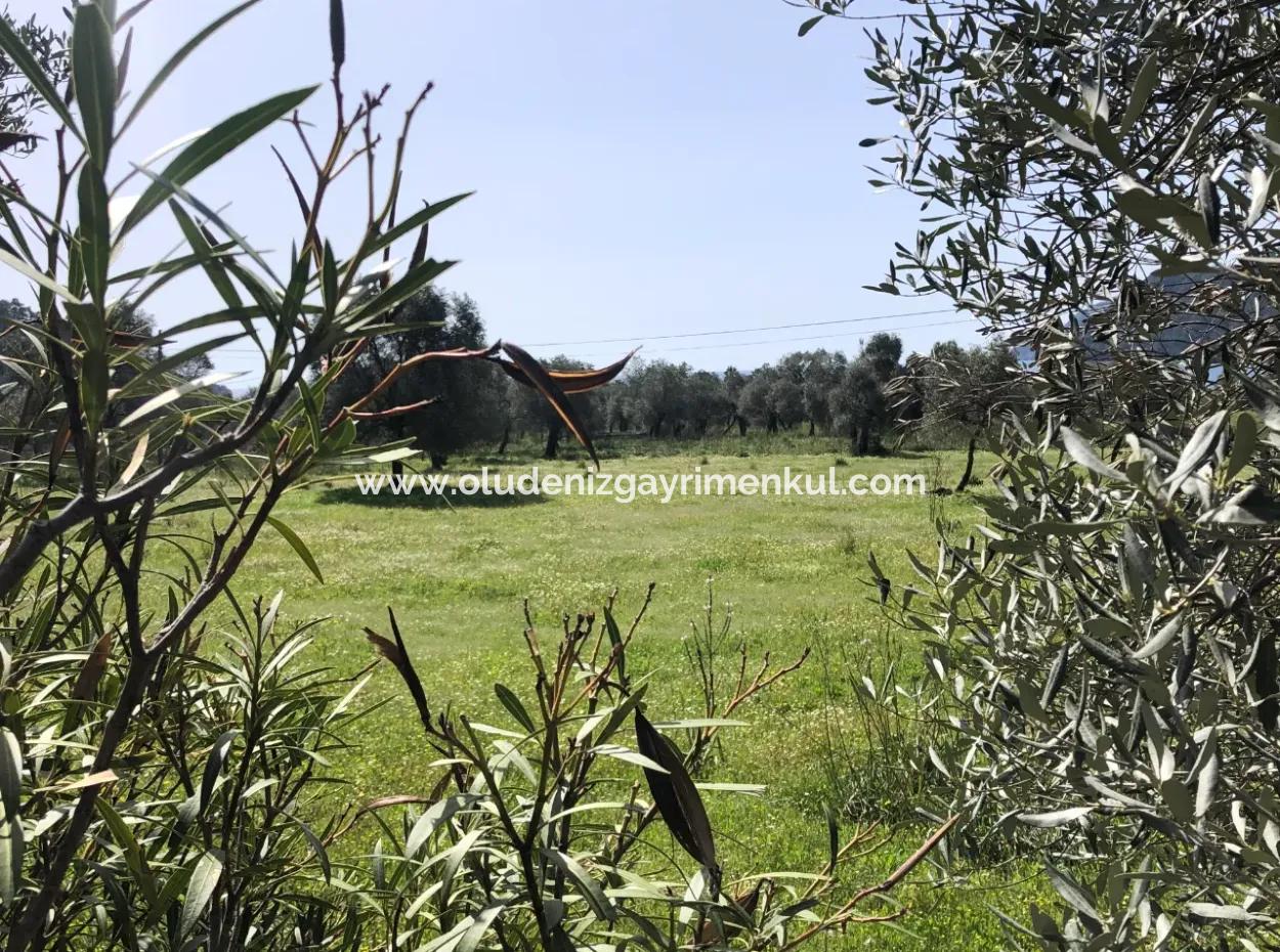 Ekincik'de Denize Yakın Manzaralı 3250M2 Satılık Arazi