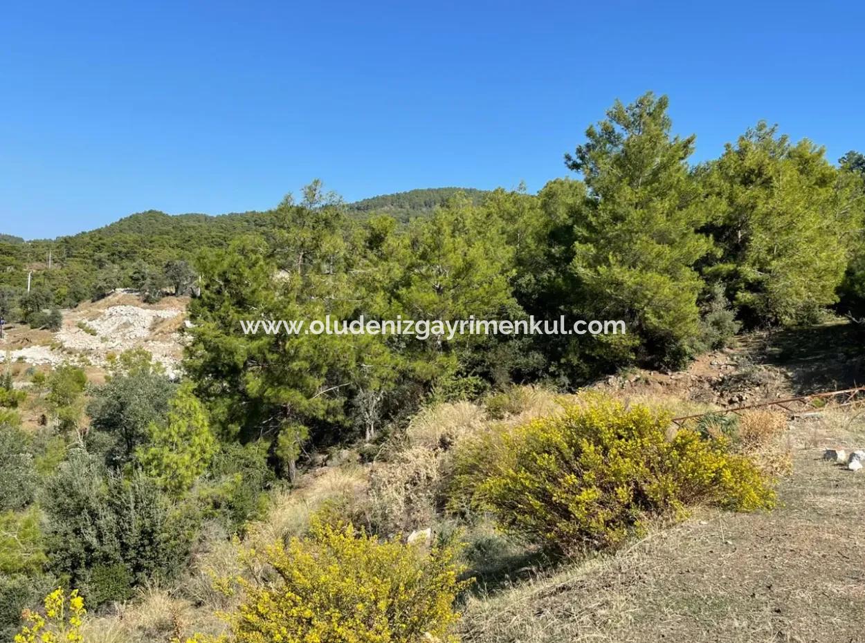 Gökbel'de Full Deniz Manzaralı 4801M2 Satılık Arazi