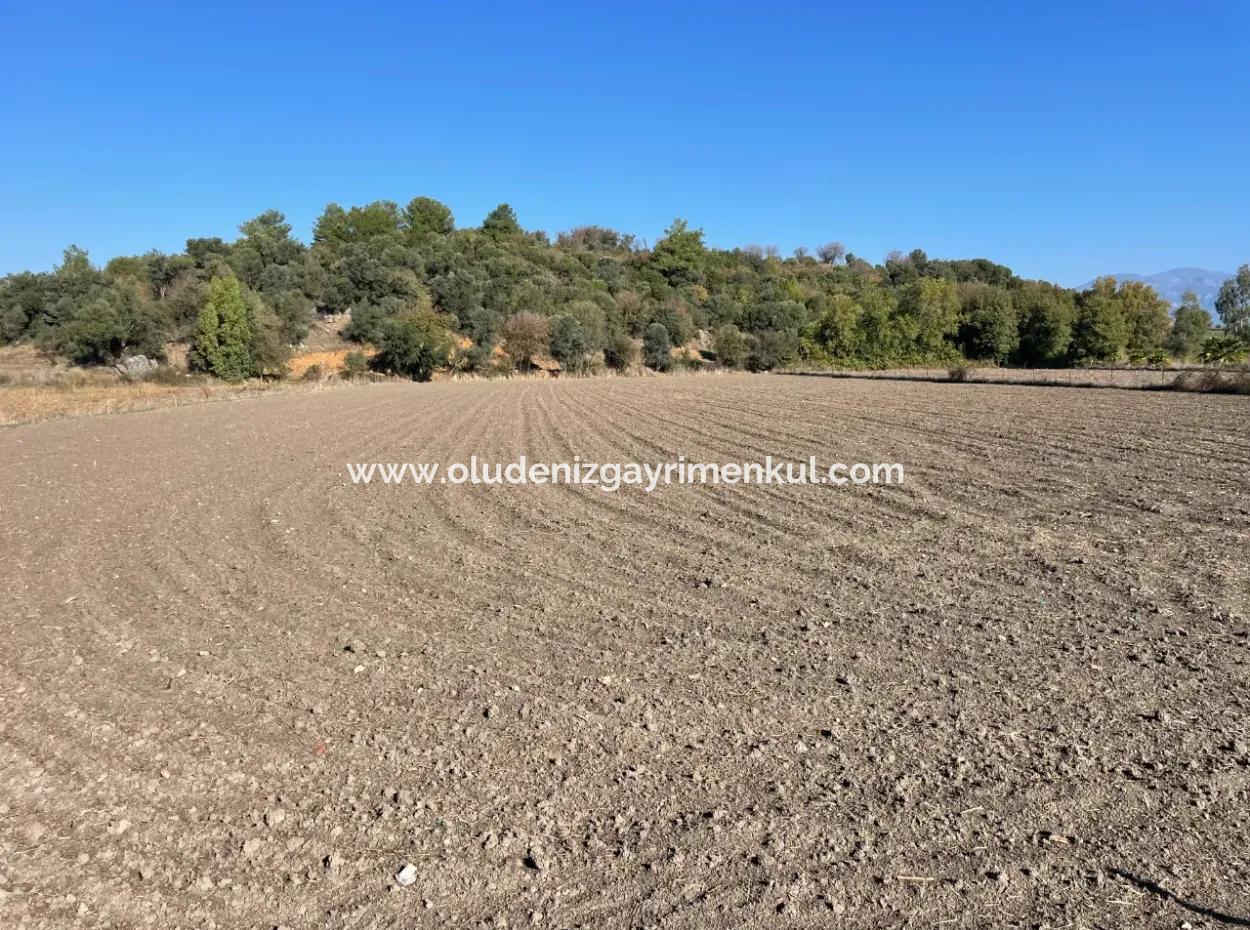 Eskiköyde Dalyan Yakın 6254M2 Satılık Tarla